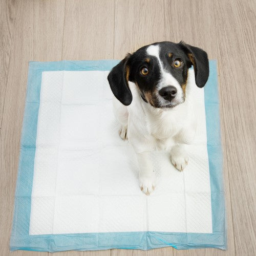 Absorpční hygienické podložky 60x45cm 50ks Purlov