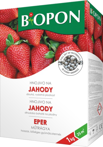 Bopon Jahody a lesní jahody 1kg