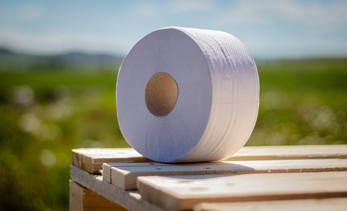 Toaletní papír Jumbo 190,2vr, recykl 65% bělost,120m, (6ks) FROS