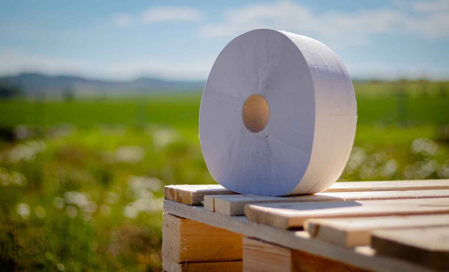 Toaletní papír Jumbo 280, 2vr recykl 65% bělost, 240m (6ks) FROS