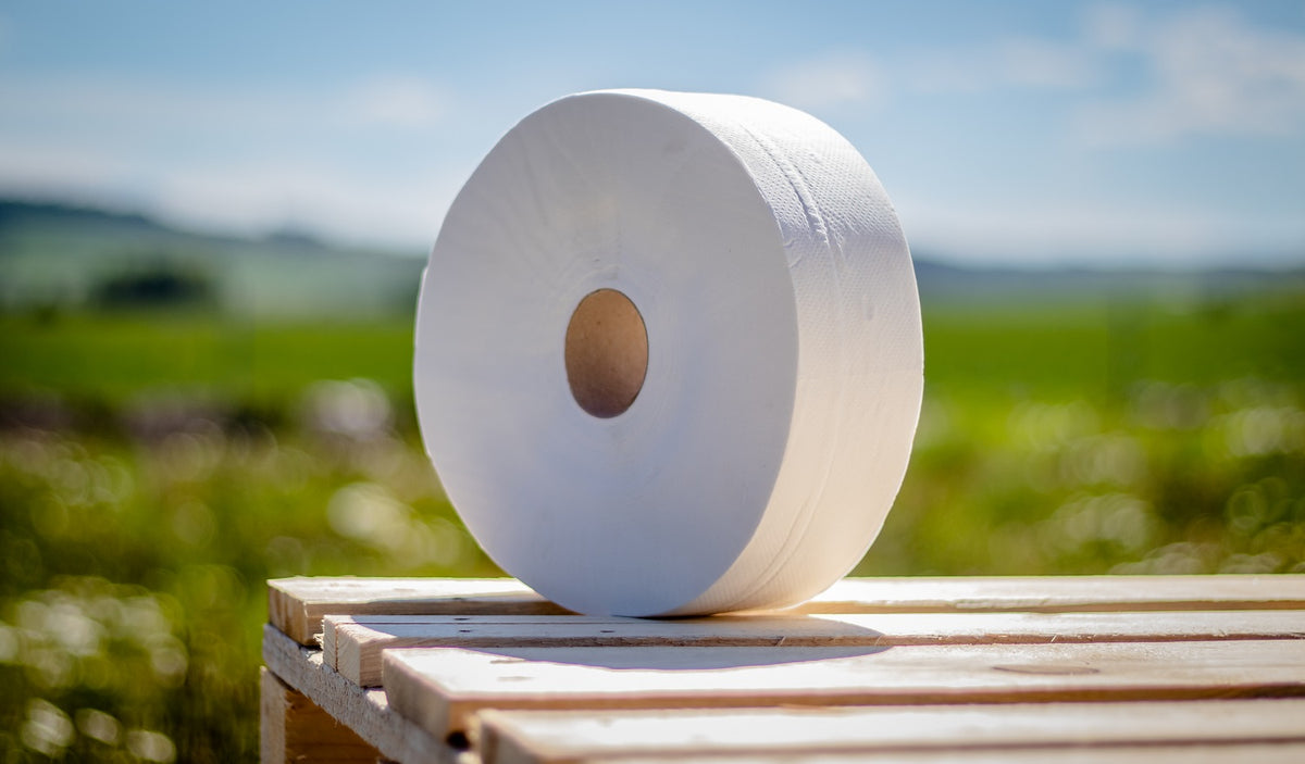 Toaletní papír Jumbo 280, 2vr recykl 75% bělost,270m (6ks) FROS