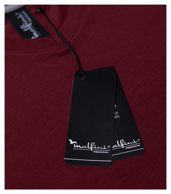 Tričko pánské Action V-neck 700