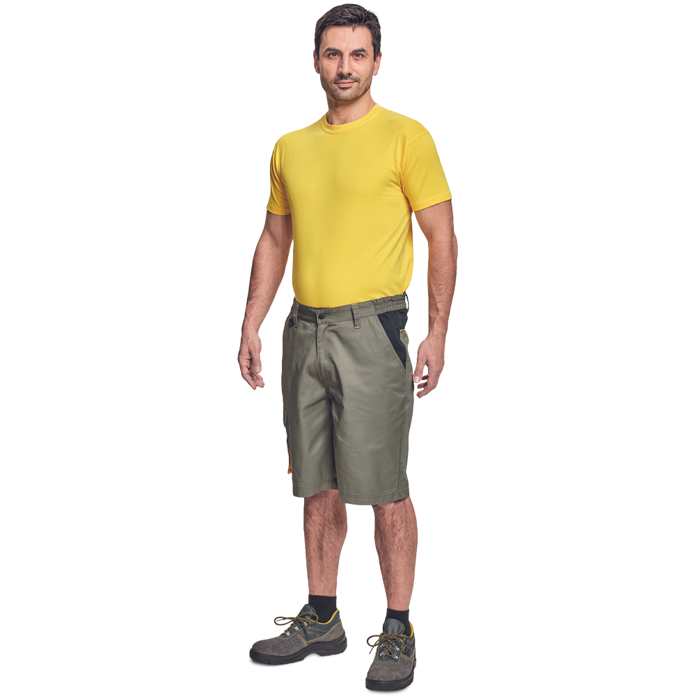 CREMORNE šortky