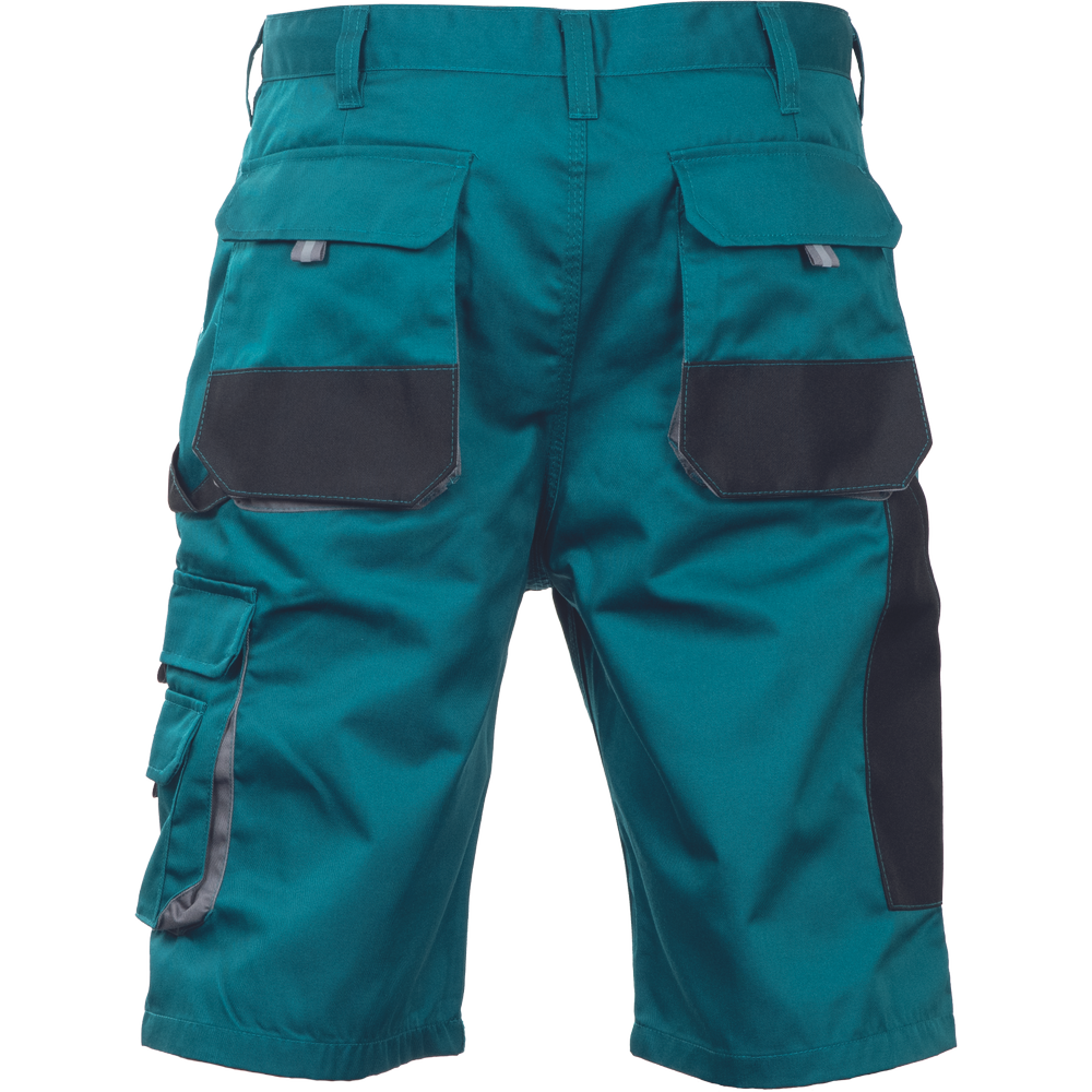 FF CARL BE-01-009 šortky