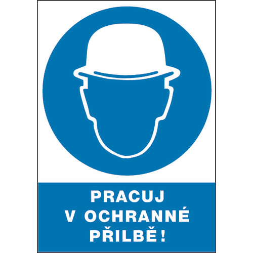 Pracuj v ochranné přilbě 12205