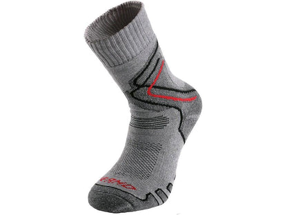 Zimní ponožky THERMOMAX šedé